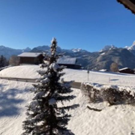 Chalet Soldanella 10 Guests גשטאט מראה חיצוני תמונה